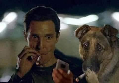 Người đàn ông và chú chó vừa hút thuốc vừa nhìn điện thoại