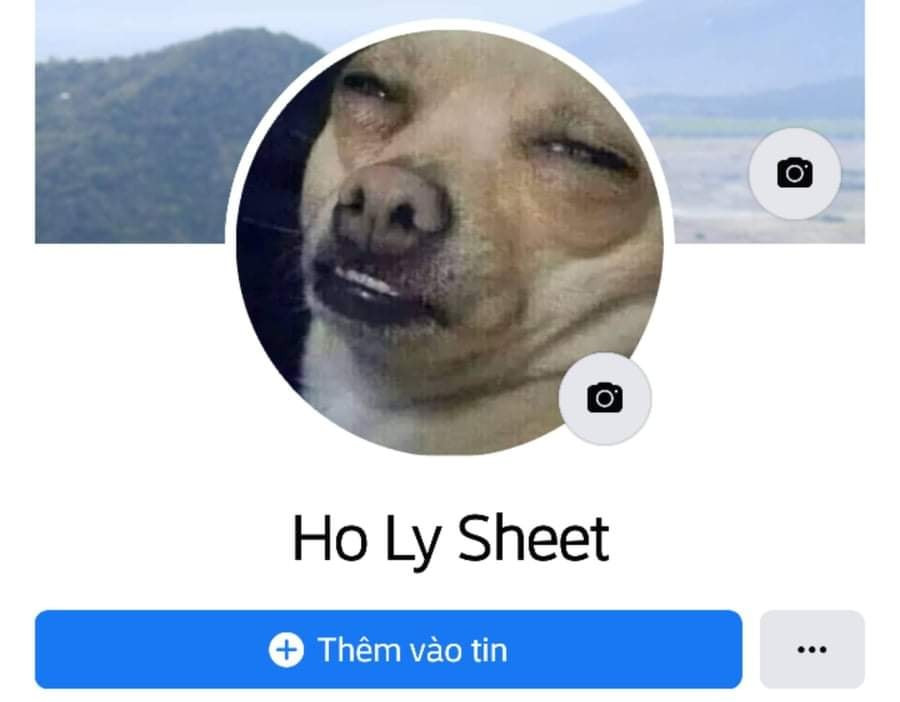 Facebook có avatar là chú chó với tên Holy Sheet