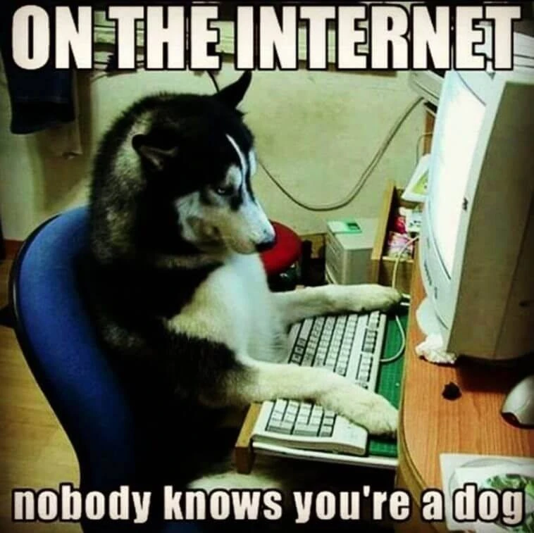 Trên mạng, không một ai biết bạn là chó cả
